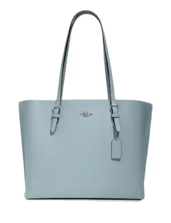 Clearance-Priced Bags Coach Mollie Tote